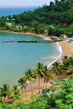 the beach is lined with palm trees and boats on the water's edge,