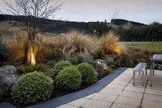 an outdoor area with plants and lights in the evening time, along with a bench