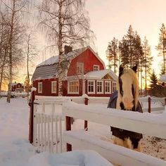 a horse that is standing in the snow near a fence and some houses with red doors