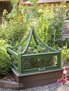 an outdoor garden with various plants and flowers