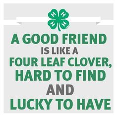 a good friend is like a four leaf clover, hard to find and lucky to have