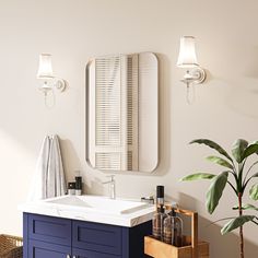 a bathroom with a sink, mirror and towel rack on the wall next to a potted plant