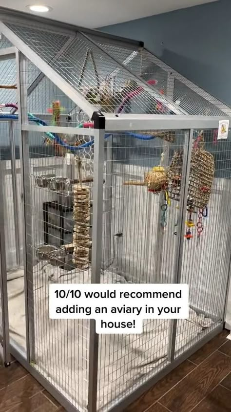 Check the link in my bio! 👀💚 Bird Rooms Ideas, Outside Bird Cage Ideas, Diy Large Bird Cage, Walk In Bird Aviary, Indoor Parrot Aviary Ideas, Pet Bird Cage Ideas, Diy Bird Aviary Indoor, Huge Bird Cage, Parrot Setup