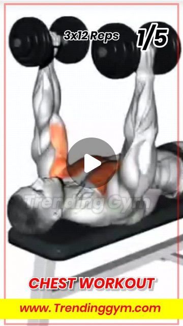 TrendingGym on Instagram: "Chest Workout Routine 🔥 Follow Us: @trendinggym Also Follow Us On YouTube Channel (Trending Gym)  🔗 Link in bio" Lower Chest Workout At Home, Chest Workout Men, Killer Chest Workout, Big Chest Workout, Chest Workout At Home, Chest Workout Routine, Chest Workout, Mens Fitness, Workout Videos