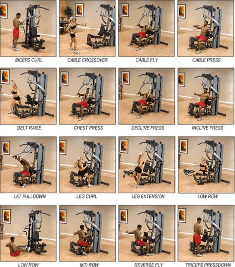 Boflex Workouts, Bowflex Workout Plan, Bowflex Workouts, Bowflex Workout Routine, Bow Flex, Marcy Home Gym, Bowflex Workout, Gym Workouts Machines, At Home Core Workout