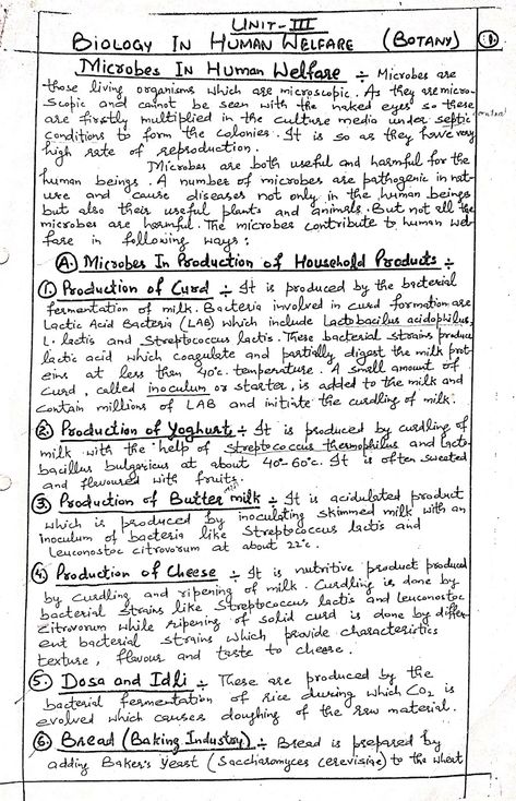 Microbes in Human Welfare Handwritten Notes For Class 12th Botany Microbes In Human Welfare Notes, Microbes In Human Welfare, Botany Notes, Biology Class 12, Biology Project, Investigatory Project, Bio Notes, Neet Notes, Gas Plant