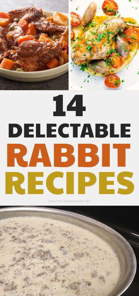 Looking for something different to make for dinner tonight? Check out these 14 rabbit recipes that will tantalize your taste buds. From simple dishes like roasted rabbit to more complex ones with unique flavors, there's sure to be a recipe here that you'll love. So get cooking! There is rabbit pot pie, rabbit stew, rabbit gravy, braised rabbit and more. Rabbit Ragu Recipe, Wild Game Recipes Rabbit, Rabbit Chili Recipe, Shredded Rabbit Recipes, Roast Rabbit Recipe, Rabbit Meals Dinners, Cooked Rabbit Recipes, Rabbit Curry Recipe, Baked Rabbit Recipes Easy