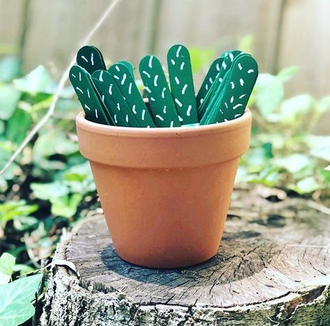 Plants Classroom, Cactus Classroom, Succulent Theme, Talking Sticks, Classroom Goals, Crafts For Teens To Make, Elementary Classroom Decor, Class Theme, Classroom Decor Themes