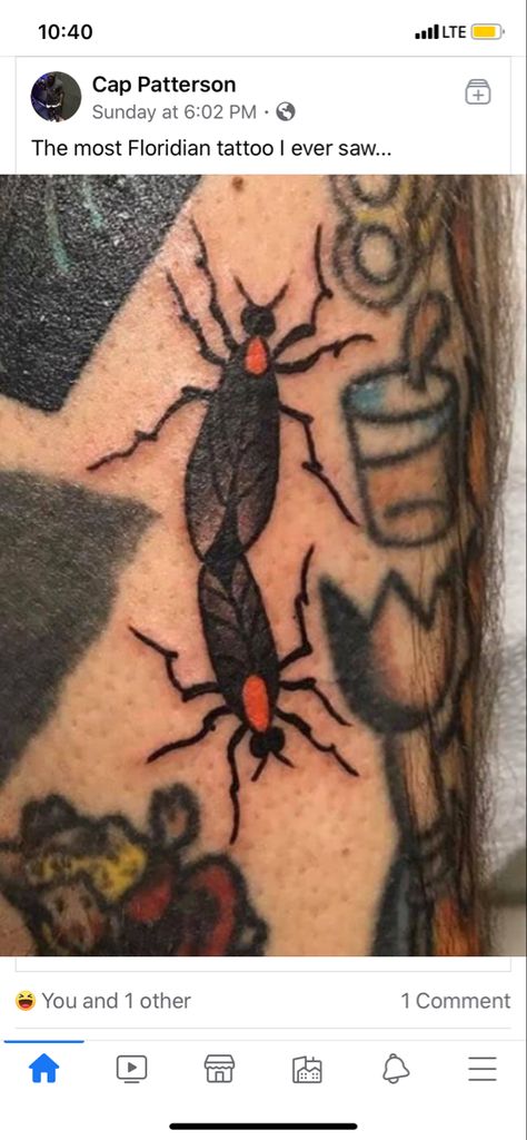 Love Bug Tattoo, Lovebug Tattoo, Alligator Tattoo, Bugs Drawing, Insect Tattoo, Bug Tattoo, Love Bug, Skin Art, Love Bugs