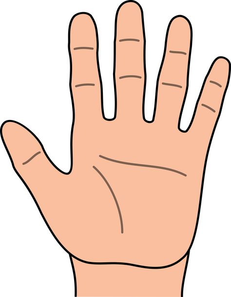 Hands hand clip art free clipart images Finger Cartoon, Hand Outline, Senses Preschool, Free Hand Designs, Hand Clipart, Clip Art Library, Fun Classroom Activities, Clip Art Pictures, Free Clipart Images