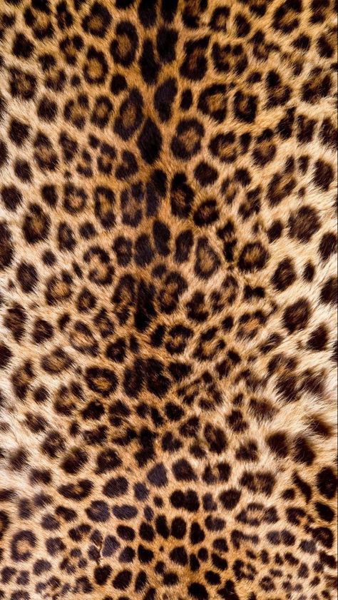 Chic Things, Leopard Print Background, Leopard Print Wallpaper, Cheetah Print Wallpaper, Lauryn Hill, Wallpaper Ipad, Iphone Prints, Printed Backgrounds, Print Wallpaper