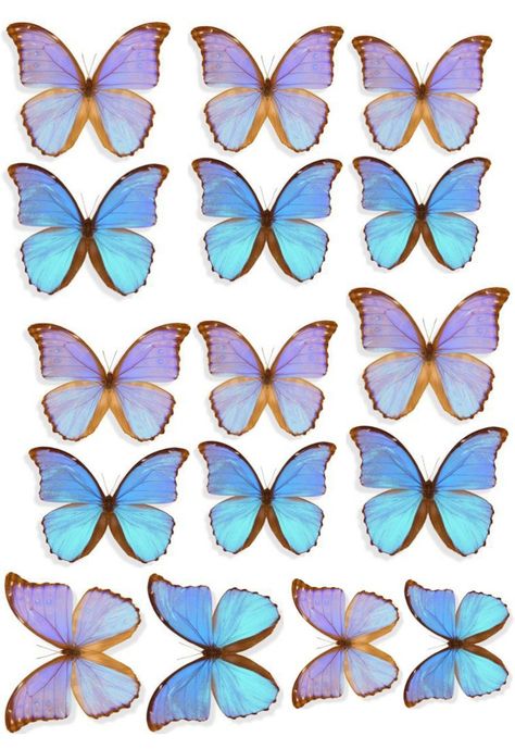 Butterfly Printable Template, Photo Cake Topper, Butterfly Cake Topper, Blue Butterfly Wallpaper, Cinderella Cake, Mermaid Cake Topper, Birthday Cake Topper Printable, Butterfly Template, Butterfly Printable