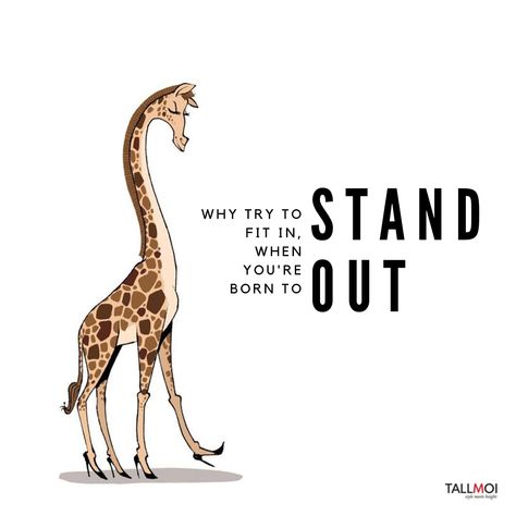 Why Try Quotes, Why Fit In When Your Born To Stand Out, Being Tall Quotes, Tiger Quotes Woman, Tall Girls Quotes, Giraffe Quotes Inspiration, You Bet Your Giraffe Im Cute, Tall Girl Quotes, Giraffe Quotes