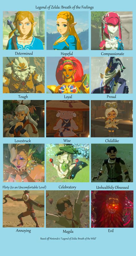 Link Zelda Breath Of The Wild Meme, Zelda Totk Fan Art, Legend Of Zelda Totk Fanart, Zelda Art Breath Of The Wild, Zelda Characters Breath Of The Wild, Legend Of Zelda Champions, Nabooru Zelda, Link Breath Of The Wild Fanart, Zelda Breath Of The Wild Art