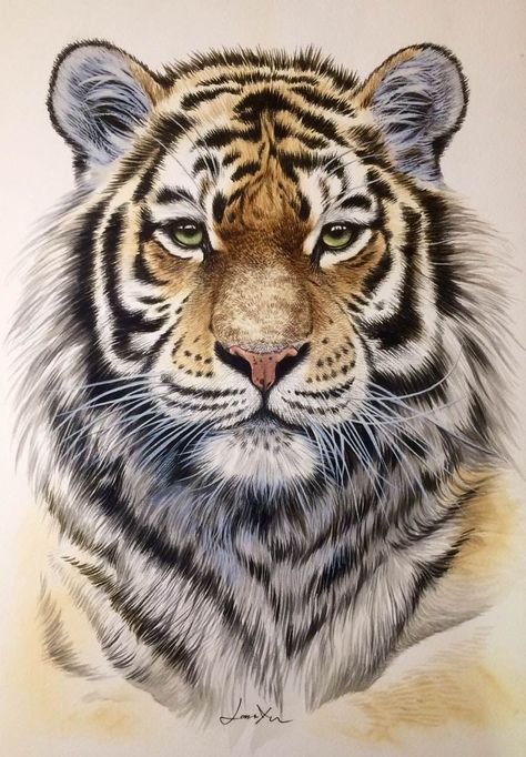 Painting Tiger, Seni Mural, Dekoratívne Vence, Water Color Art, Tiger Portrait, Tiger Artwork, Tiger Tattoo Design, Tiger Drawing, Tiger Painting