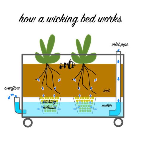 Wicking Garden Bed, Watering Raised Garden Beds, Diy Self Watering Planter, Box Planters, Garden Board, Self Watering Containers, Veggie Gardens, Food Simple, Grow Boxes