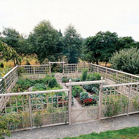 Pleasure Garden, Deer Resistant Garden, Fenced Vegetable Garden, Garden Fence Ideas, Diy Garden Fence, Deer Fence, Fence Garden, Backyard Vegetable Gardens, Potager Garden