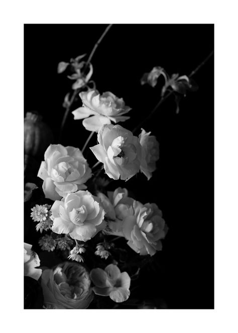 A close up on a beautiful Dutch Master style floral arrangement by Fleur in Chicago Flowers, Floral, Chicago, Artfully Walls, Black And White Floral, Floral Arrangement, Close Up, Black And White, White