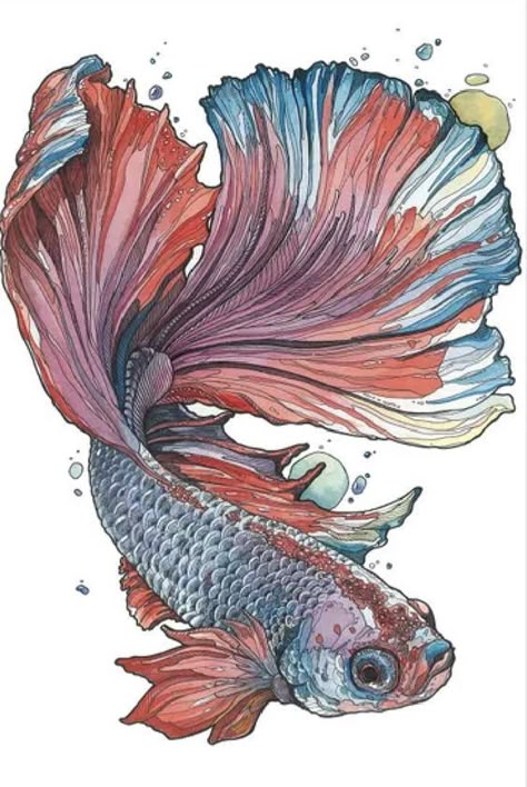 Beta Fish Drawing, Fish Sketch, Micron Pens, Lotus Flower Art, Jellyfish Art, Beta Fish, Fish Illustration, Fish Drawings, Ink Watercolor