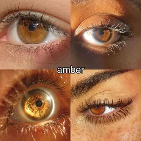 Brown Eye Color Chart, Cognac Brown Eyes, Pretty Eyes Brown, Brown Eyes With Gold Flecks, Dark Amber Eyes, 2 Different Color Eyes, Yellow Eye Color, Down Turned Eyes, Amber Brown Eyes