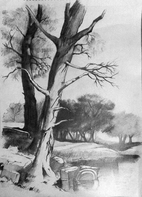 Pencil and Canvas: Landscape in pencil. Pencil Drawings Of Nature, Landscape Pencil Drawings, Pencil Drawing Tutorials, Drawing Eyes, Landscape Sketch, Image Nature, Drawing Exercises, Landscape Designs, Nature Drawing