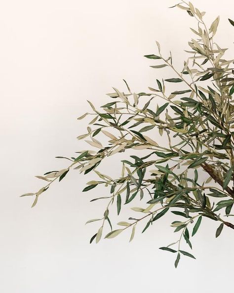 Faux Olive Tree, Mcgee & Co, Indoor Air Pollution, Large Planters, Olive Leaf, Real Plants, Wire Frame, Olive Tree, Drop In