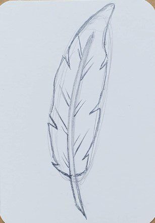 How To Draw A Feather Easy, How To Draw A Feather Step By Step Easy, Magic Drawing Ideas Easy, Drawing Feathers Step By Step, Feather Drawing Reference, Bird Feathers Drawing, How To Draw Feathers Step By Step, How To Draw A Feather, Feather Drawing Pencil