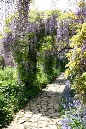 Wisteria Garden, Backyard Walkway, Courtyard Gardens Design, Garden Vines, Backyard Pergola, Stone Path, 수채화 그림, Garden Pathway, Courtyard Garden