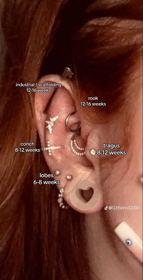 Eat Piercing Types, Eat Peircings Women Chart, Peircings Women Chart, Different Types Of Piercings Ears, Pericings And Names, Peircings Women Pain Chart, Peircings Women Ear Chart With Names, Ear Piercings Chart Names, Eat Piercing Placement Chart