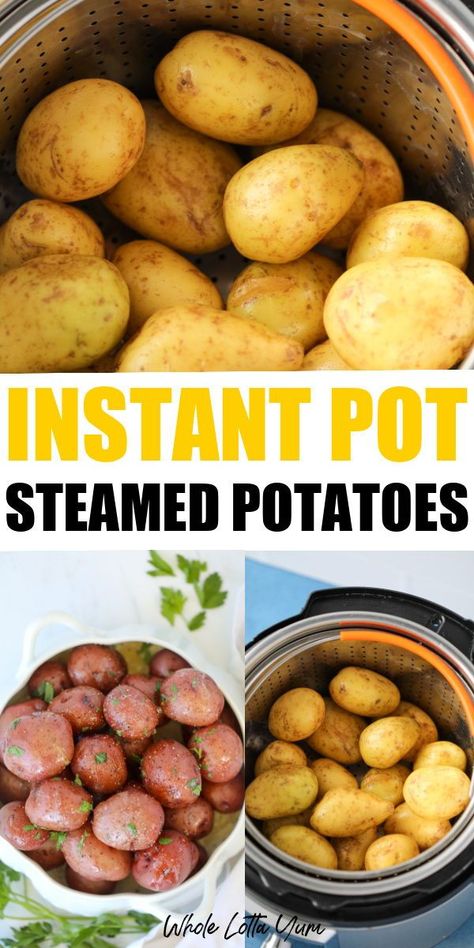 Instant pot steamed potatoes are absolutely one of the best potato recipes! If you love seasoned potatoes, are a fan of the instant pot, or need a go-to healthy recipe for a weeknight meal or any occasion, you have to try the instant pot steamed potatoes! Pressure Cooking Potatoes, Insta Pot Potatoes Recipes, Pressure Cooker Potato Recipes, Instant Pot Small Potatoes Recipe, Cooking Potatoes In Instant Pot, New Potatoes Instant Pot, How To Cook Potatoes In Instant Pot, Whole Potatoes In Instant Pot, How Long To Cook Potatoes In Instant Pot