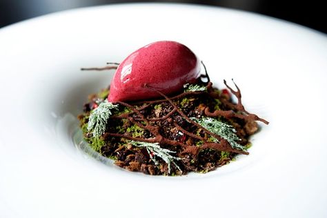 Sydney chef Martin Benn’s ‘Summer Chocolate Forest’ could easily pass for dirt, twigs and moss. Australian Restaurant, Masterchef Australia, Sydney Restaurants, Dessert Plating, Plated Desserts, Best Dishes, Food Presentation, Food Plating, Food Guide