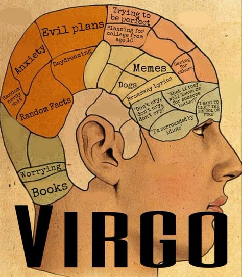 What Is A Virgo, Virgo Emotions, Virgo Goddess, Virgo Astrology, Virgo Personality, Virgo Memes, Virgo Art, Virgo Girl, Virgo Traits