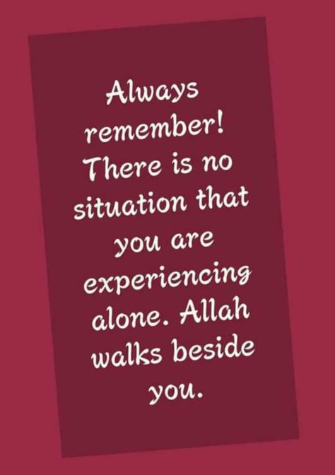 Islamic Prayer Quotes, Job Motivation, Sunshine Quotes, Beautiful Good Night Images, Pray Quotes, Status Quotes, Islamic Prayer, Good Morning Beautiful Quotes, Good Morning Cards