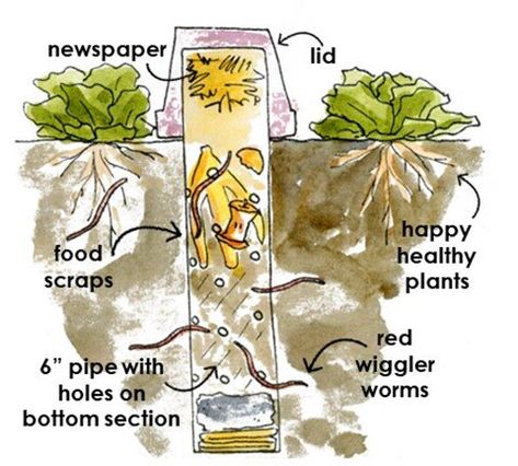 Worm Tower — Compost NOW Diy Worm Tower, Worm Tower Composting, Worm Tower, Worm Farm Diy, Homemade Plant Fertilizer, Biodynamic Farming, Compost Mulch, Garden Cover, Worm Bin