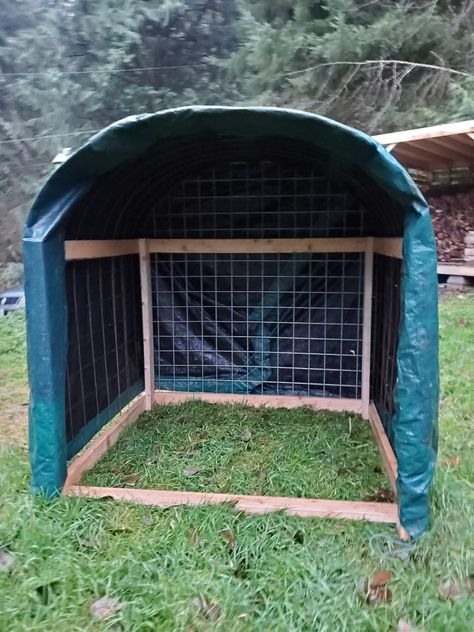 Cattle Panel Shelter, Shelters For Goats, Homemade Goat Shelter, Livestock Shelter Diy, Diy Animal Shelter Ideas, Animal Shelters Diy, Simple Livestock Shelter, Trampoline Animal Shelter, Diy Mini Horse Shelter