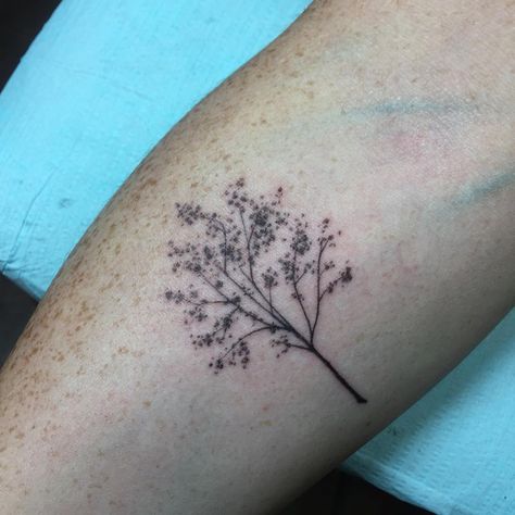 Yvo on Instagram: “A little tree tattoo... makes me wanna run off to nature! #smalltattoo #littletattoo #treetattoo #delicatetattoo #femininetattoo” Crape Myrtle Tree Tattoo, Nature, Crape Myrtle Tattoo, Little Tree Tattoo, Cherry Tree Tattoo, Maple Tree Tattoo, Cherry Tree Tattoos, Maple Tree Tattoos, Grandma Tattoo