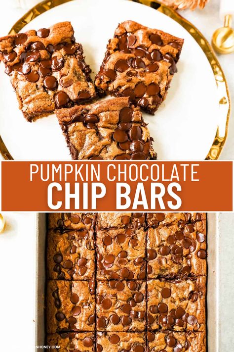 Pumpkin Chocolate Chip Cheesecake Bars, Pumpkin Chocolate Chip Blondies, Pumpkin Chocolate Chip Cookie Bars, Pumpkin Chocolate Bars, Small Batch Pumpkin Bars, Chocolate Chip Pumpkin Bars, Pumpkin Chocolate Chip Bars, Bars With Chocolate Chips, Pumpkin Flour