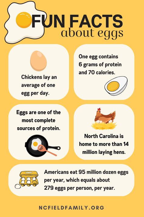 Whether you’re dyeing them for Easter or enjoying them scrambled, deviled or fried, eggs are a springtime staple. Eggs are so popular, in fact, that the average American consumes 290 of them per year. Check out a few more fun facts about the incredible, edible egg. National Egg Day, Agriculture Facts, Egg Facts, Egg Nutrition Facts, Farm Facts, Egg Nutrition, Fun Facts For Kids, Healthy Living Motivation, Food Health Benefits