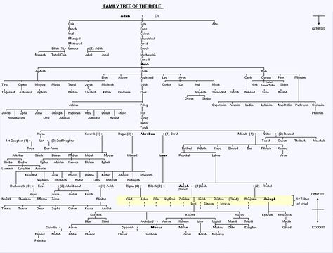 Free Bible Genealoy Chart | Bible family tree, that's the tree for me APR 01 2002 Bible Family Tree, Family Tree Quotes, Bible Genealogy, Bible Timeline, Tree Quotes, Family Tree Chart, Quotes Family, Bible Study Help, Quotes Bible