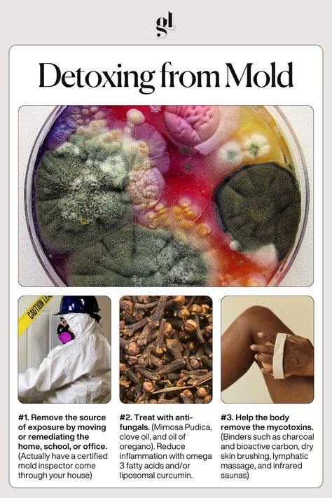 Mold Detox: Reset Your Health After Exposure 🔄🚫🍄  Discover how mold affects your body, from respiratory issues to chronic fatigue. Learn about its links to autoimmune conditions, neurological disorders, and CIRS.  Find top tips for detoxing from mold and reclaiming your health!  Want more? Join our FREE 10-part masterclass "The Gut-Autoimmune Solution" starting August 19th. 30 experts share insights on mold's role in autoimmune disease. Sign up with the link in our bio.  #goodnesslover How To Detoxify Your Body Naturally, Mold Detoxing, Detoxing Your Body From Toxins, Hair Detox, Herbal Remedies Recipes, Mold Exposure, Medical Herbs, Body Detoxification, Ayurvedic Healing