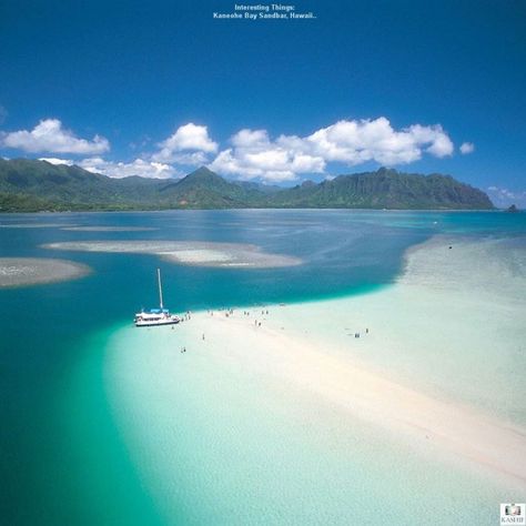 4. Kaneohe Sandbar, Oahu Kailua Beach, Hawaii Holiday, Hawaii Life, Beach Adventure, Hawaii Vacation, Oahu Hawaii, Hawaii Travel, Travel And Tourism, Most Beautiful Places