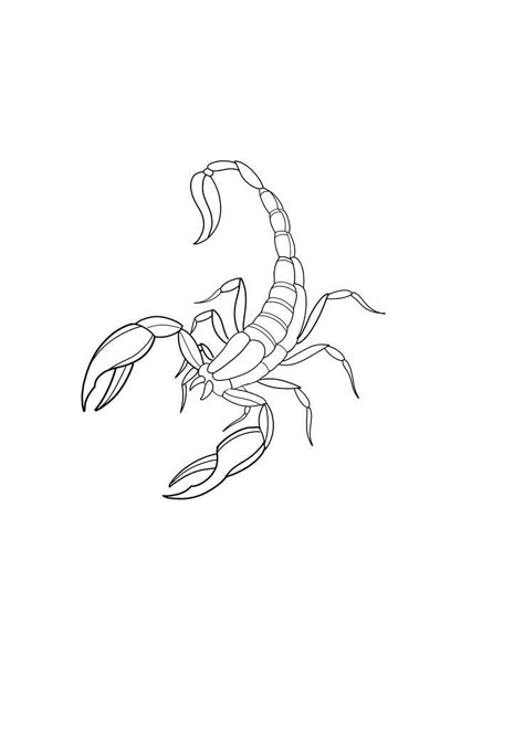 Simple Scorpion Tattoo Outline, Fineline Scorpion Tattoo, Scorpion Line Tattoo, Scorpio Outline, Fine Line Scorpion Tattoo, Scorpion Sketch, Scorpio Drawing, Scorpio Tattoo Design, Scorpion Drawing