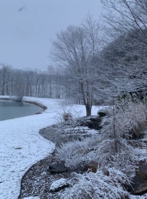 Indiana Aesthetic, Snow Winter Aesthetic, Northern Attitude, Winter Core, Kokomo Indiana, Childrens Museum, Winter Scenery, Snow Winter, Winter Aesthetic