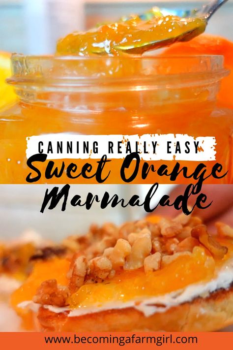 Homemade Orange Marmalade Recipe, Nectarine Jam, Canning Jams, Orange Marmalade Recipe, Pectin Recipes, Fruit Jam Recipes, Fruit Butters, Pressure Canning Recipes, Orange Jam