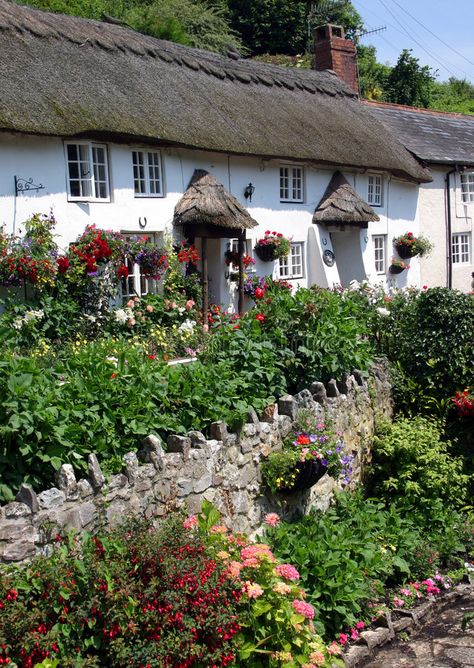 Devon thatch. A row of whitewashed thatched cottages in a Devon village , #AD, #row, #thatch, #Devon, #whitewashed, #village #ad Pisces Witch, British Cottage, English Country Cottages, Cute Cottages, Old Row, Storybook Homes, Little Cottages, English Cottage Garden, Thatched Cottage