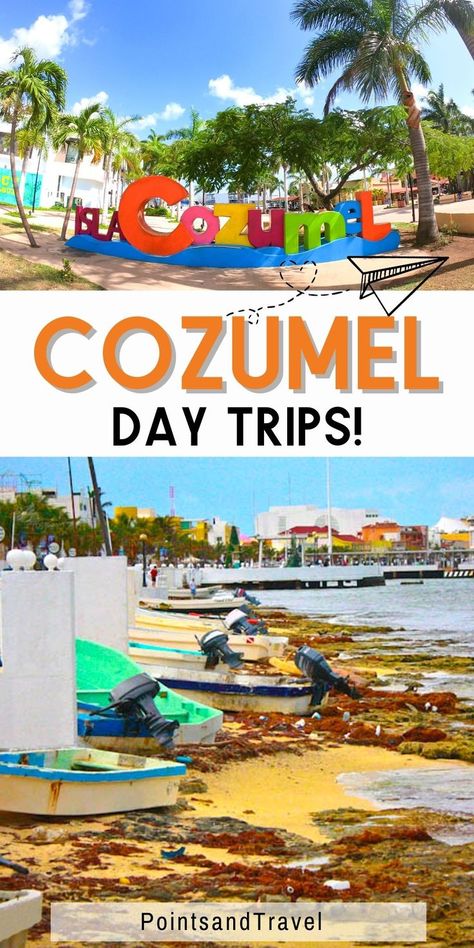 Cozumel Day Trips! Cozumel Mexico Beaches, Mexico Travel Itinerary, Things To Do In Cozumel, Independence Of The Seas, Mexico Beaches, Mexico Cruise, Explore Mexico, Trip To Mexico, Mexico Trip