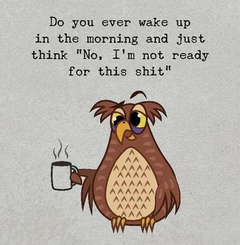 40 Happy Wednesday Memes - Funny Humpday Images  #Memes best happy wednesday memes funny humpday images 16 Funny Wednesday Quotes, Beautiful Infographics, Good Morning Funny Pictures, Wednesday Quotes, Wake Up In The Morning, Funny Good Morning Quotes, Morning Quotes Funny, Good Morning Funny, Funny Cartoon Quotes