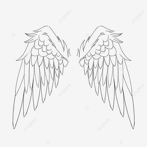 Wings white wings angel wings Wings Protecting Drawing, Drawing Bases With Wings, Angelic Wings Drawing, Wings Ideas Drawing, Drawing Ideas Wings, How To Draw Angel Wings Step By Step Easy, Wings Design Drawing, Wings Sketch Reference, Closed Angel Wings