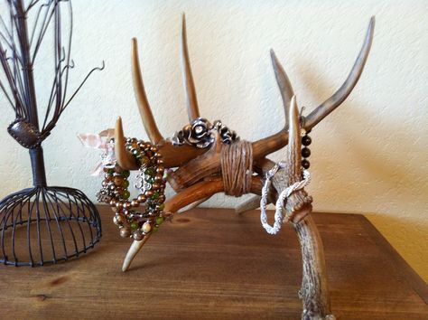 My new jewelry holder. Have to do something with all these antlers my husband brings home! Antler Collage Wall, Deer Horn Jewelry Holder, Antler Jewelry Holder Diy, Deer Skull Jewelry Holder, Deer Skull Display Ideas, Deer Antler Jewelry Holder, Diy Deer Antlers, Antler Jewelry Holder, Antler Diy