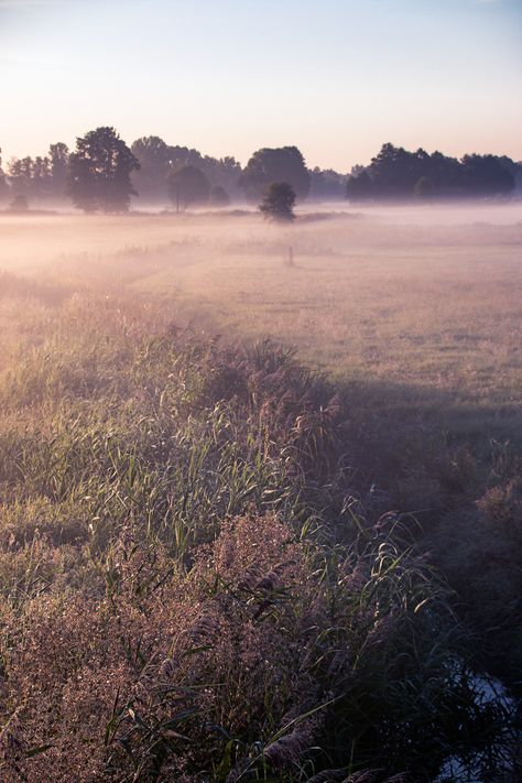 MORNING FOG I on Behance Nature, Morning Fog Aesthetic, Soft Morning Aesthetic, Morning Core, Hazy Aesthetic, Fog Aesthetic, Dinner Set Design, Cottage Core Garden, Fog Landscape